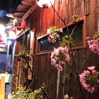料理人の画像