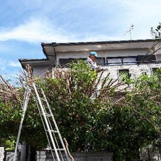 便利屋あまおう - 生活トラブル