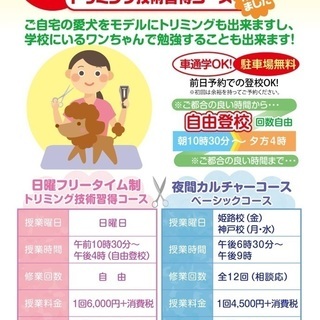 朗報！日曜フリータイム制トリミング技術習得コースがスタートしまし...