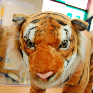 アニマル スツール トラ イス 子供部屋等に インテリアとしてもOK！ ☆ PayPay(ペイペイ)決済可能 ☆ 札幌市 清田区 平岡の画像