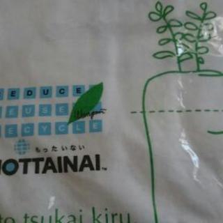 新品 anvil MOTTAINAI Ｔシャツ もったいない Tシャツ Mサイズ reduce reuse recycle 3R の画像