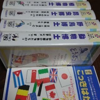 【送料込み】フラッシュカードのビデオ版