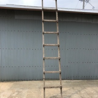 古いはしご ヴィンテージ アイアンフレーム ラダー / はしご - アンティーク