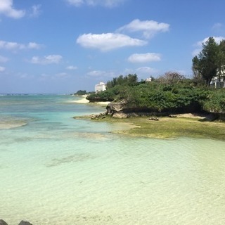 取引中  沖縄行きたい人〜！旅費0 - 新座市