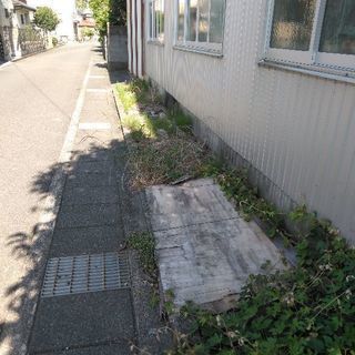 雑草取り剪定