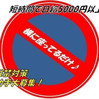 【　駐禁対策として助手席に座ってるだけでお給料がもらえる♪　】シ...