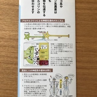 子供の為に出来る事から