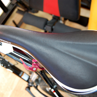 CANNONDALE/キャノンデール マウンテンバイク FIVE 29インチ 24段変速