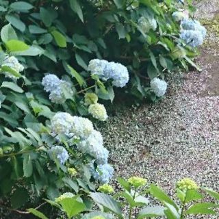 本八幡駅徒歩5分＊土日の朝はヨガでスタート！6/2,10,16,24,30の画像