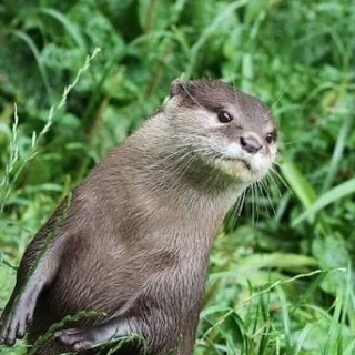 一緒に温泉行来ませんか？