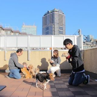 ペットサロン正社員募集中/実務経験不問の画像