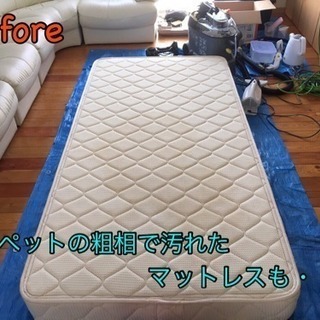 マットレス、ソファークリーニング《汗、ダニ、埃を強力バキューム洗浄で快適な睡眠を★》汚れの根本から強力吸引！今の時期オススメです！の画像