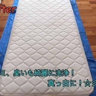 マットレス、ソファークリーニング《汗、ダニ、埃を強力バキューム洗浄で快適な睡眠を★》汚れの根本から強力吸引！今の時期オススメです！ - 相模原市