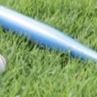 都内プロ野球好き集めたオフ会メンバー募集中…