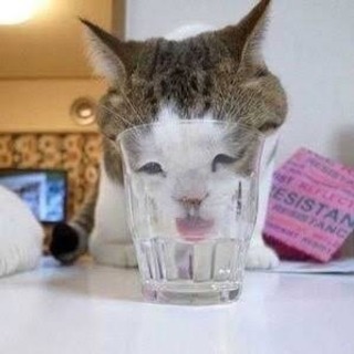 花金だし、今夜、京王線沿いで飲みませんか〜？？