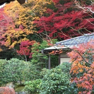 カメラ仲間募集中