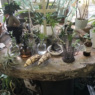 POPUP SHOP開店準備手伝いの画像