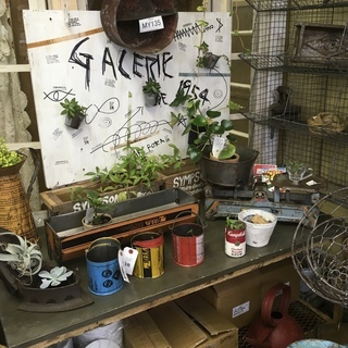 POPUP SHOP開店準備手伝いの画像