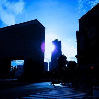 写真を撮りに行きませんか？