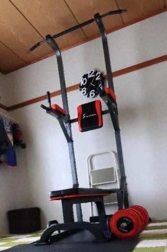 シンテックス トータルフィットネス懸垂マシンⅢ フロアマット付属 チンニングスタンド 懸垂バー