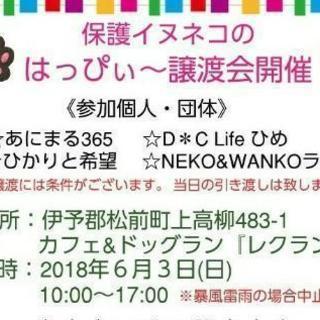 合同譲渡会&フリーマーケット