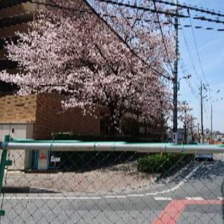 お庭のお手入れ代行サービス