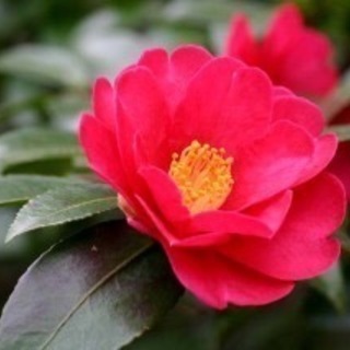写真好きな人♪集まれ〜📸✨ - 長野市