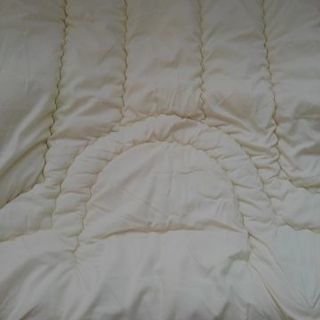 かけ布団　ニトリ　フィットスルカケブトン　コダキル３の画像