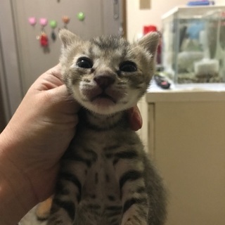 もうすぐ二カ月