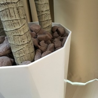 光触媒人工観葉植物 高さ160センチほどの画像