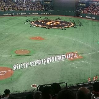 プロ野球観戦友達の募集！