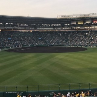 6月10日日曜日阪神戦 観戦しませんか？？