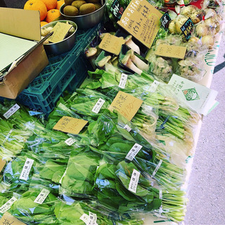 【ブース出店大募集！】JUJO Green Market（十条グリーンマーケット）vol.7＜会場：京都市南区＞  - 京都市