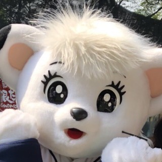 埼玉西武ライオンズ 女性応援会⚾️ライなちゃんず⚾️