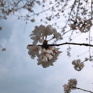 アルバイト、パート募集です 外国人でもおけです。中国人のやる気の...