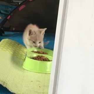 代理投稿です(๑╹ω╹๑ ) − 群馬県