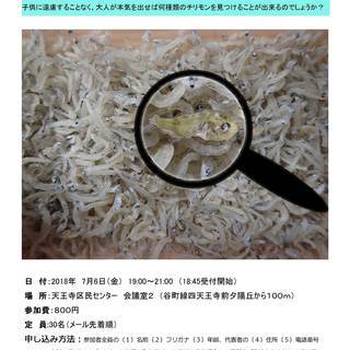 大人の為のチリモンさがし　～チリメンモンスターを探せ～