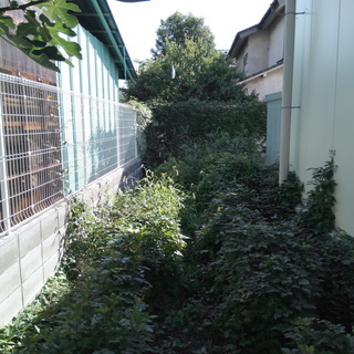 草刈り・草むしり・お庭掃除
