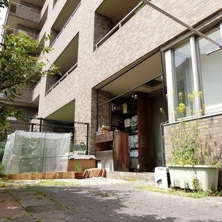 ❤️ステイツ北畠　庭付き　お子様の育つ環境整ってます　3380万円❤️の画像