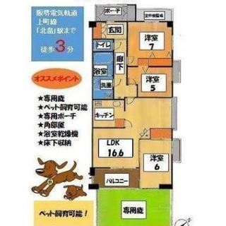 ❤️ステイツ北畠　庭付き　お子様の育つ環境整ってます　3380万円❤️ - 不動産