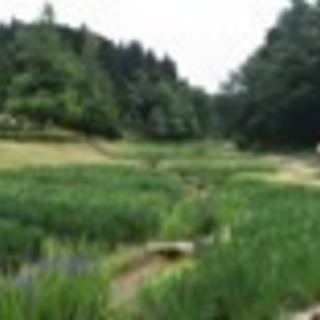 【終了】三条市栄の公園でお弁当一緒に食べよう！ - 三条市