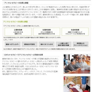 【ギネス認定世界一の癒やし】メンタルセラピーあざらしロボット「パロ」【送料無料】