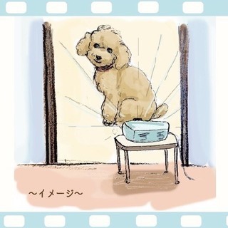 【6月20日 デッサン体験レッスン】「わんちゃんを描いてみよう！」国立駅近＊ドローイング・デッサン体験会の画像