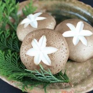 きのこについて🍄 - 友達