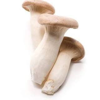 きのこについて🍄 − 東京都