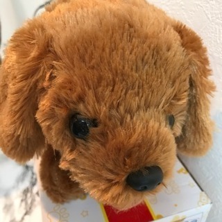 ！大人気音声認識ぬいぐるみ！の画像