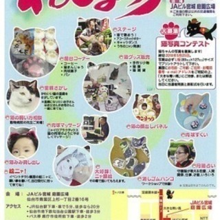 第６回 かみすぎねこまつり開催‼︎