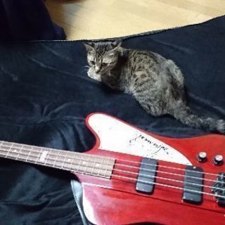 札幌 イエモンコピーバンド