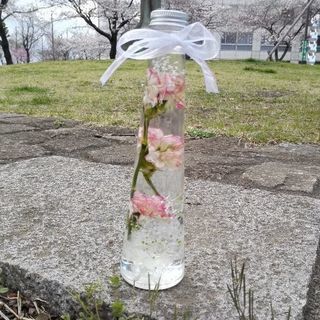 ★ハーバーリウムワークショップ★認定講師取得*カラーコーディネーター取得 の画像