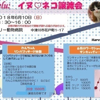 イヌ ♡ネコ 譲渡会